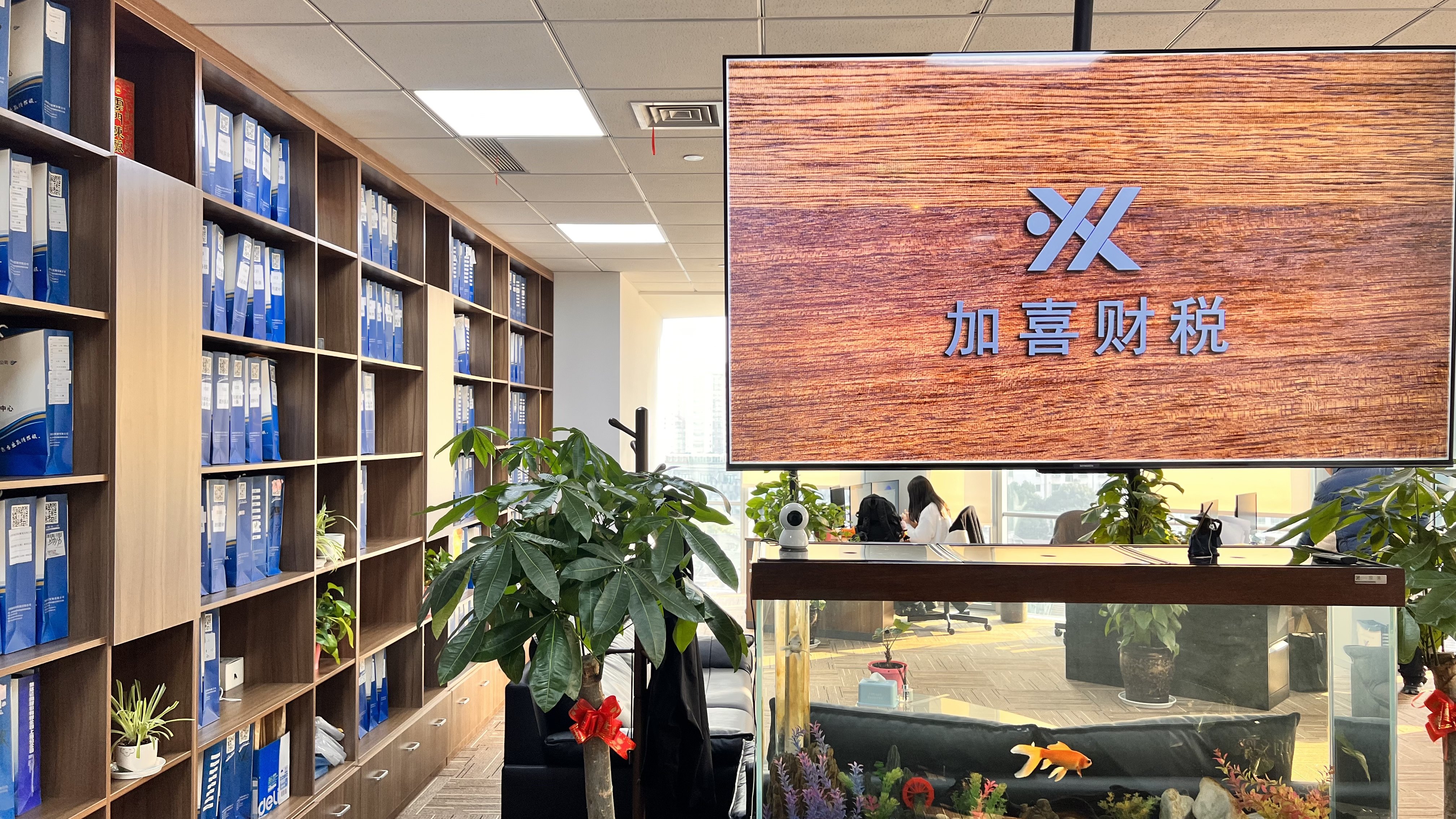 外观设计专利示例